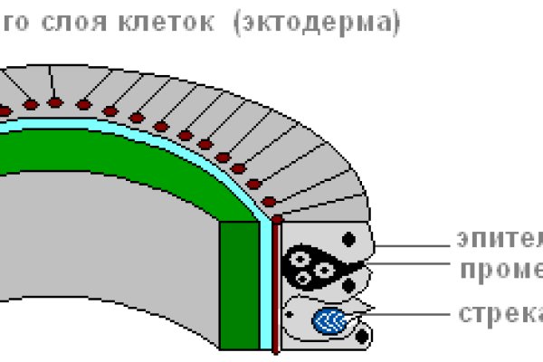 Рунион мега