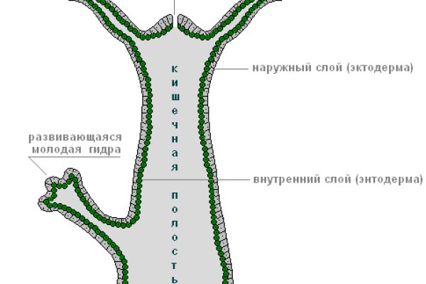 Кракен пишет вы забанены