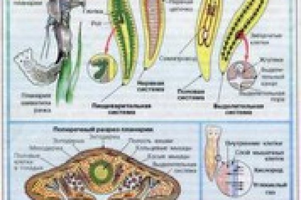 Мега интернет магазин