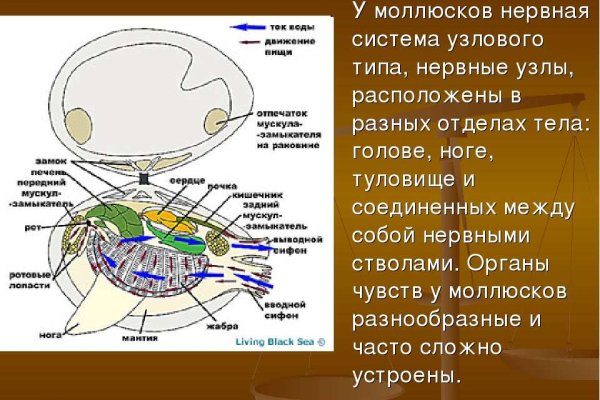 Mega market ссылка